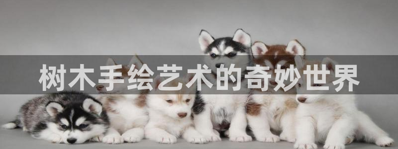 摩根大通旗下娱乐公司