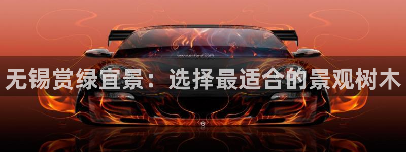 摩根娱乐宝怎么赚钱的