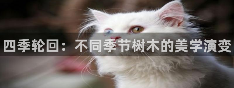 昆明滇池路摩根道娱乐