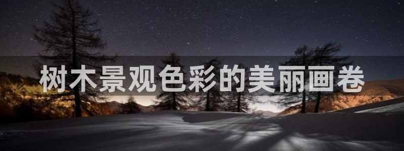 下载摩根娱乐宝：树木景观色彩的美丽画卷