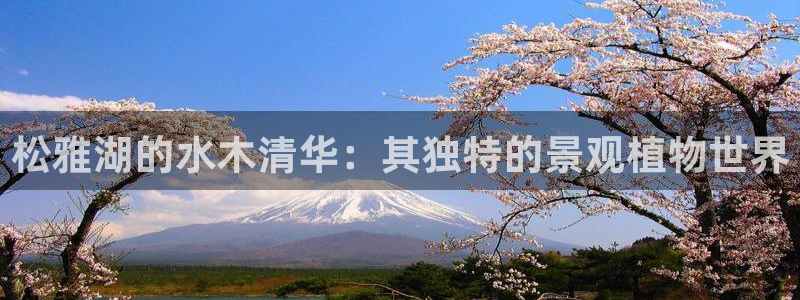 摩根娱乐宝机构代码