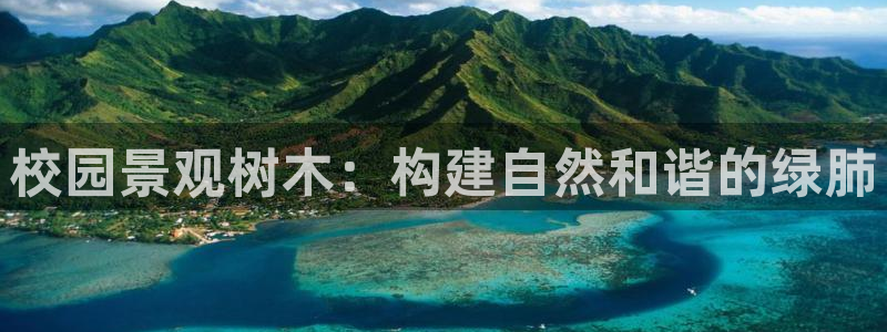摩根360娱乐：校园景观树木：构建自然和谐的绿肺