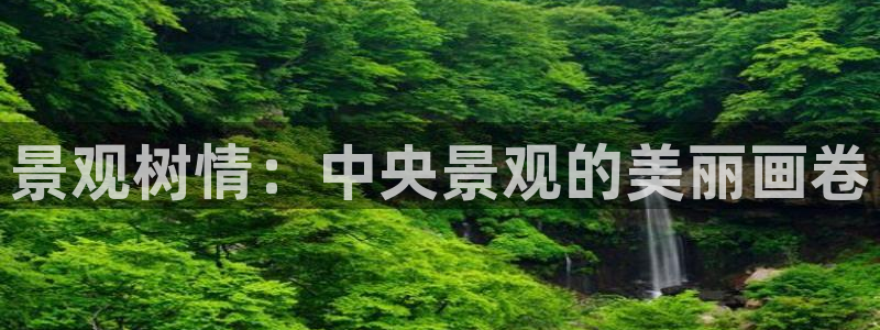 摩根娱乐是什么意思
