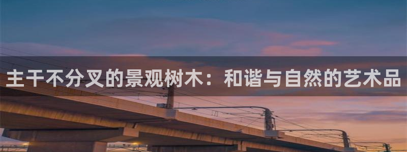 摩根娱乐宝被骗怎么办