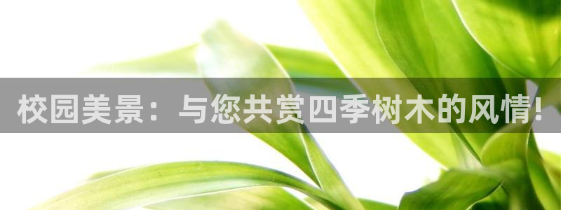 摩根娱乐会所电话：校园美景：与您共赏四季树木的风情!