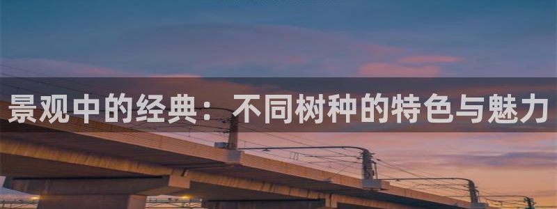 义乌摩根娱乐会所消费