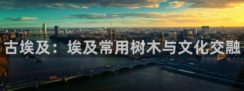 摩根娱乐是什么