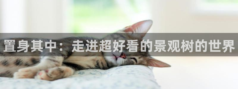 泉州摩根娱乐会所