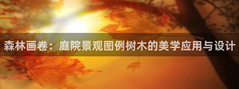 长春拉图摩根附近娱乐