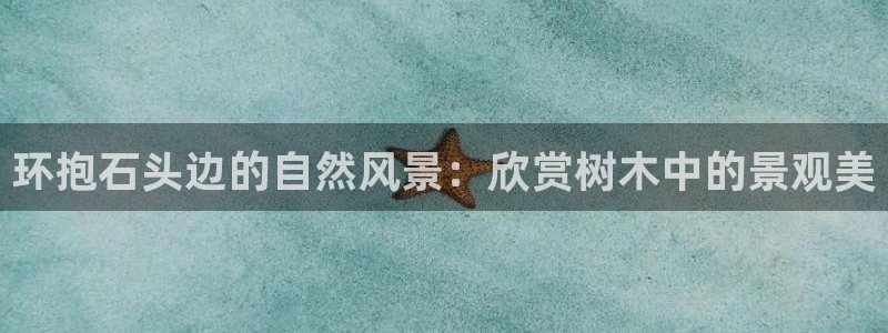 摩根国际娱乐宝官网