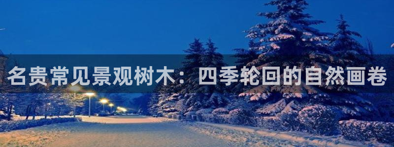 摩根娱乐宝如何提现：名贵常见景观树木：四季轮回的自然画卷