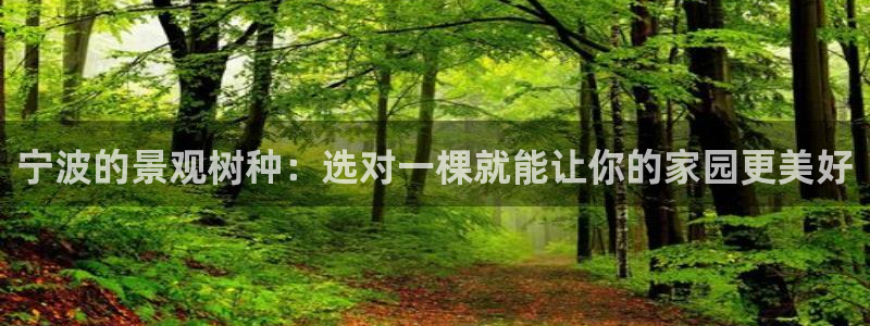 摩根娱乐宝打不开