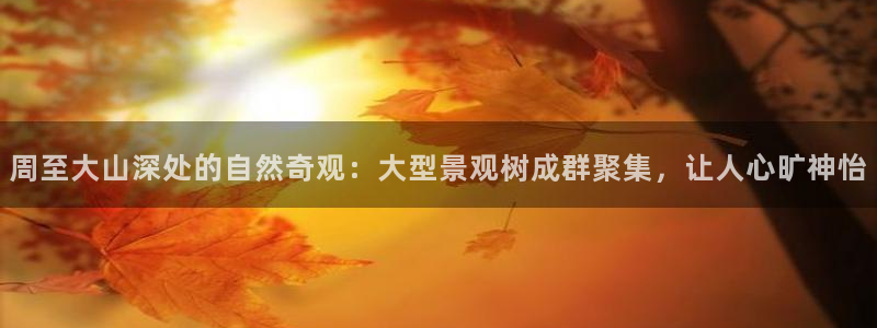 摩根娱乐视频大全