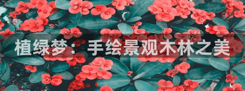 香港摩根娱乐：植绿梦：手绘景观木林之美