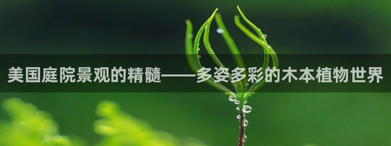 摩根空间附近休闲娱乐