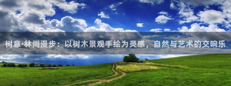 华视娱乐摩根王琛