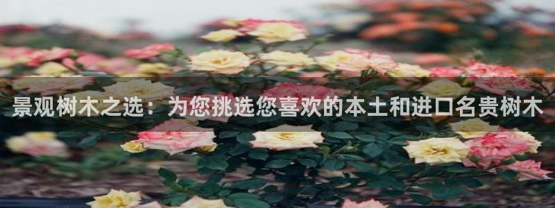 摩根娱乐平台云挂机安全吗