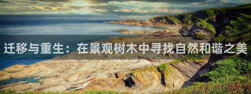 摩根娱乐 股s东50015