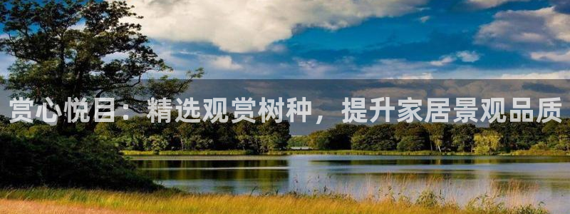 摩根娱乐开户总s管50015 18