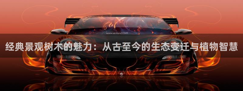 深圳摩根时代娱乐公司:经典景观树木的魅力:从古至今的生态变迁与植物智慧
