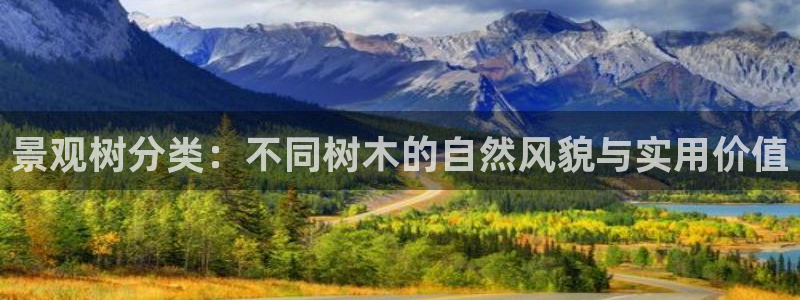 摩根士丹利娱乐