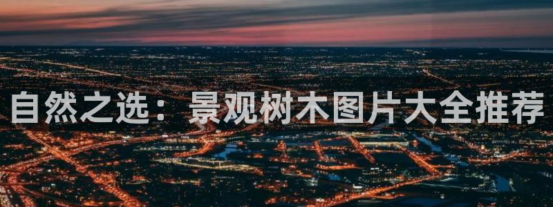 义务摩根娱乐会所:自然之选:景观树木图片大全推荐