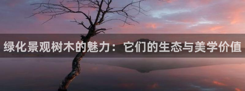 摩根娱乐宝k线图