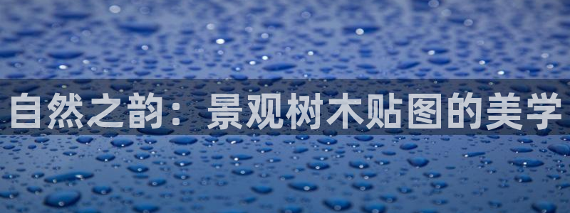 摩根娱乐宝诈骗