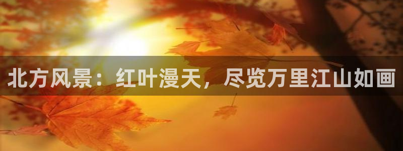 摩根娱乐宝 怎么样