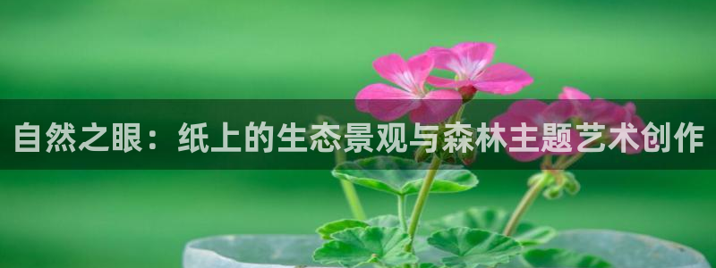 摩根太古互动娱乐中心:自然之眼:纸上的生态景观与森林主题艺术创作