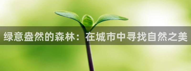 柬埔寨西港摩根娱乐