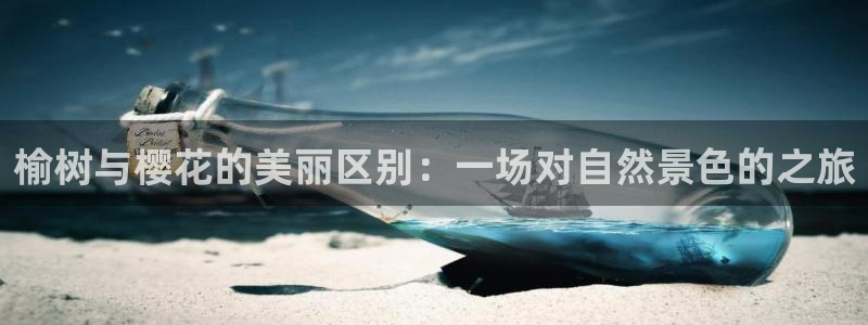 摩根大通投资娱乐公司:榆树与樱花的美丽区别:一场对自然景色的之旅