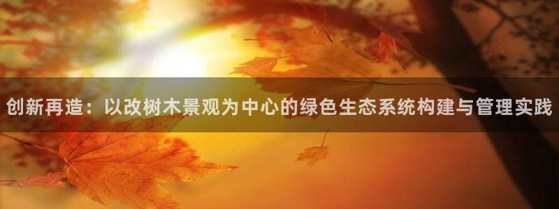 摩根娱乐dj