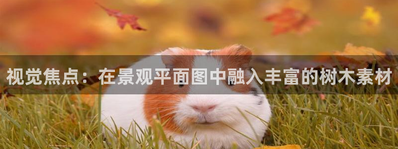 摩根大通王者娱乐