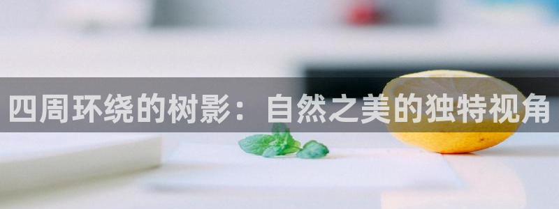 上投摩根娱乐