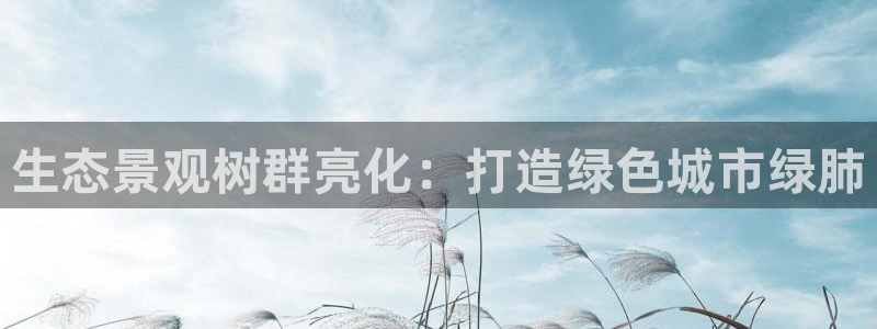 摩根娱乐宝账户:生态景观树群亮化:打造绿色城市绿肺