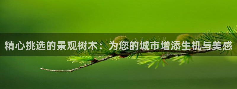 摩根娱乐是什么模式