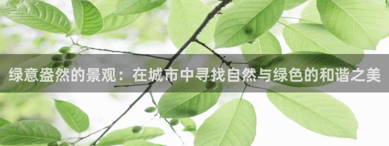 摩根娱乐官网下载