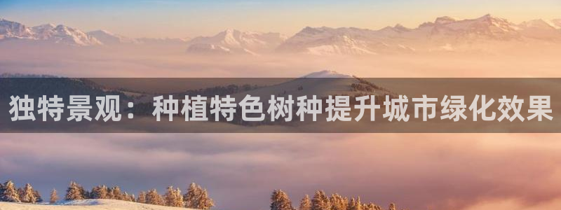 微信里面摩根娱乐宝