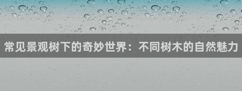 摩根娱乐宝骗了我