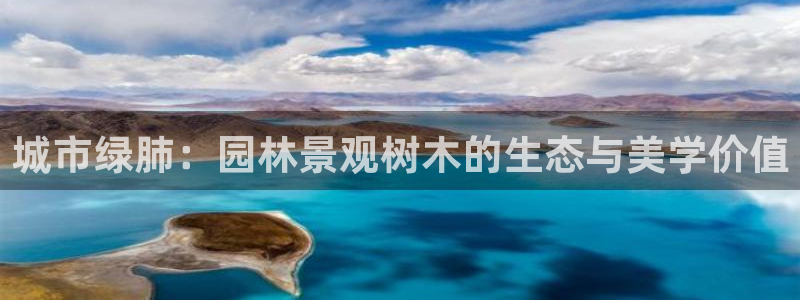 摩根合约娱乐宝