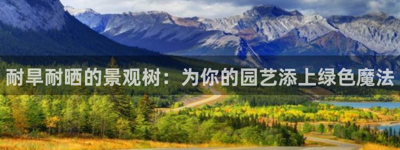 摩根娱乐宝的代理方式