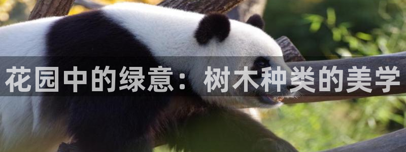 摩根娱乐宝怎么样