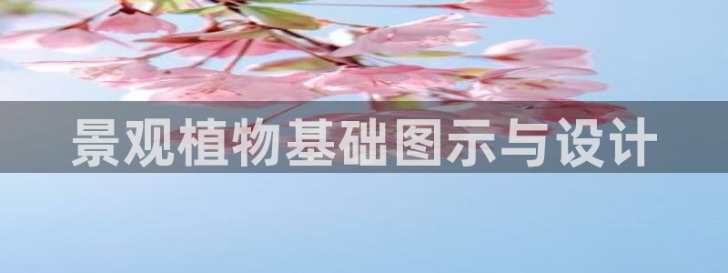 摩根娱乐是真的呀