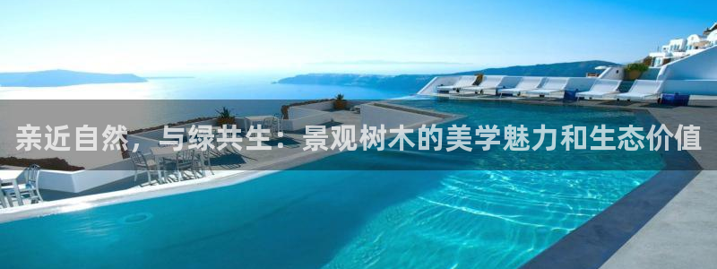 摩根娱乐会所电话