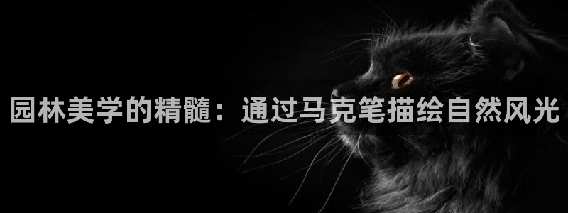 摩根娱乐宝怎么提现