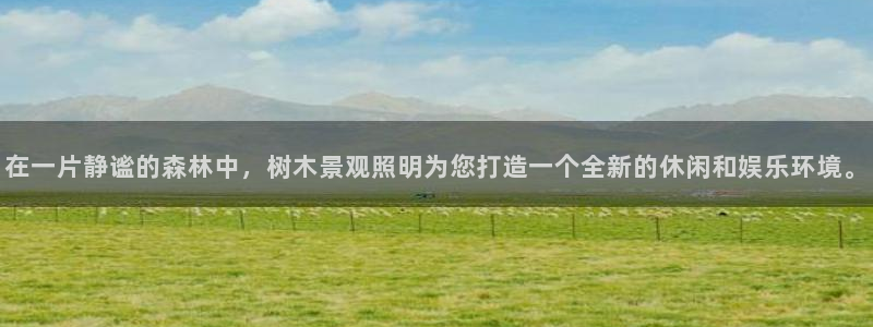 摩根娱乐宝 怎么样