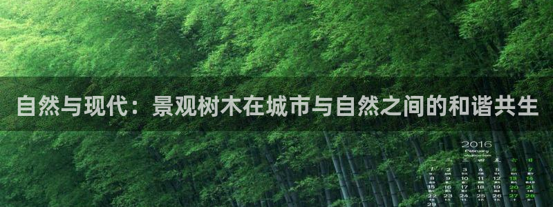 摩根娱乐是骗局吗