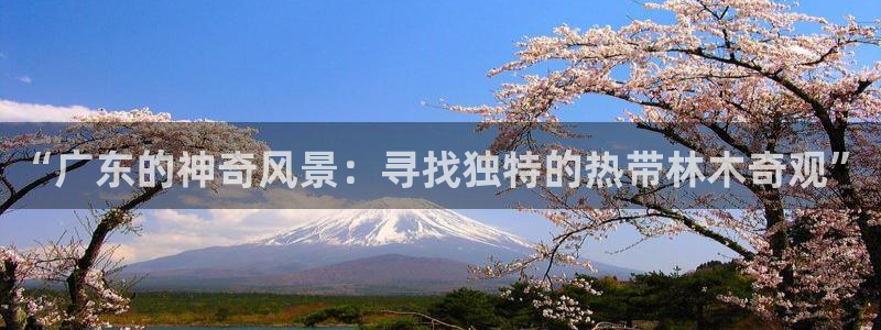 义乌摩根娱乐会所公主