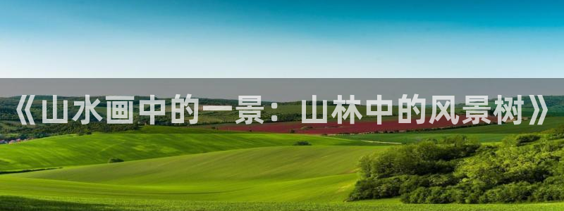 摩根娱乐 总s管50015